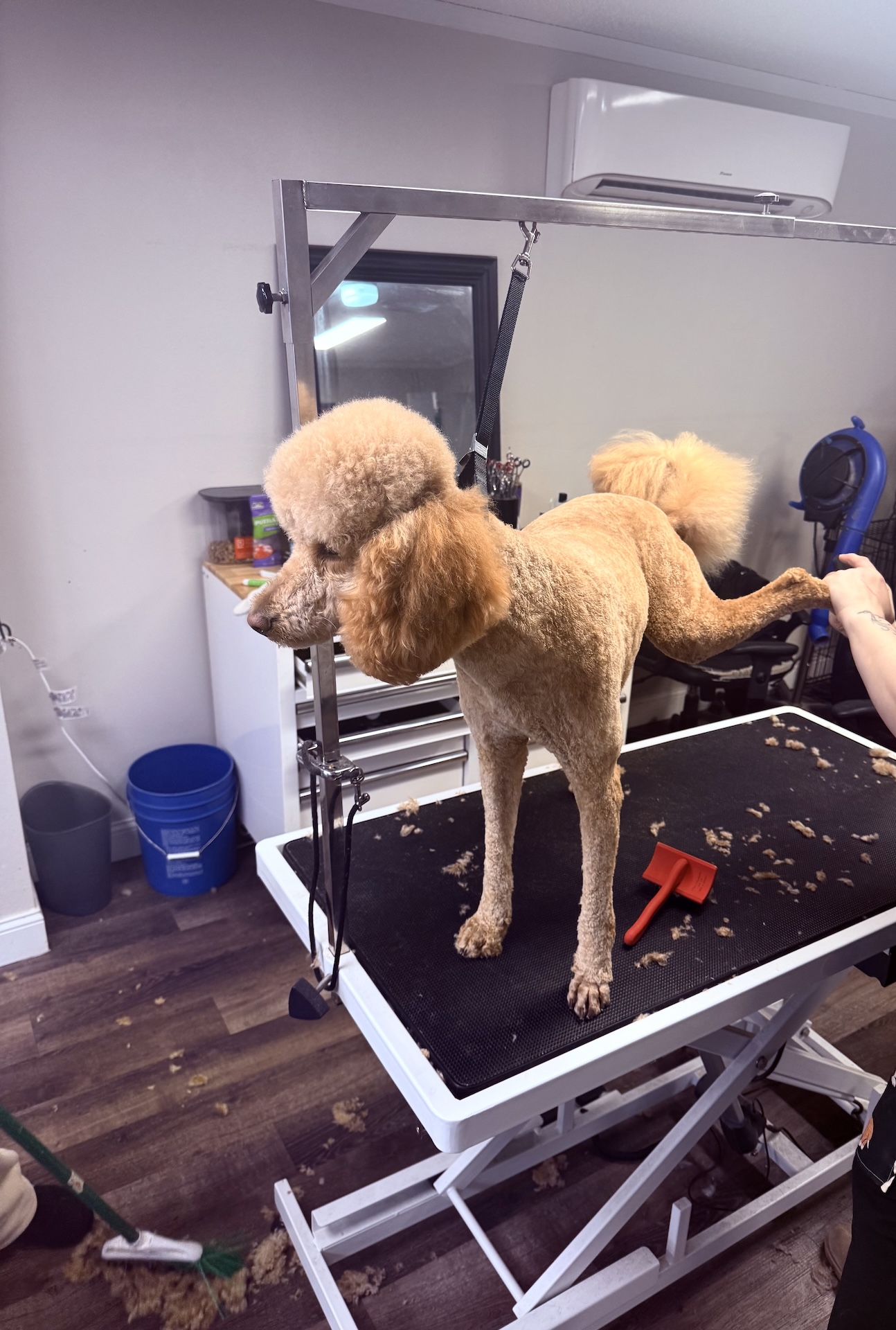 Richland Nail Trimming